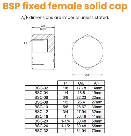 1/8 BSP Fixed Female Solid Cap Hydraulic Adaptor